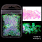 Holographic Nail Art Glitter - 2g Laser Star & Butterfly Sequins Flakes