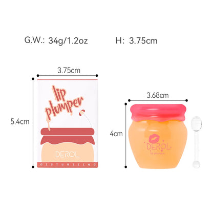 DEROL Day Night Ginger Extract Peppermint Mint Lip Plumper - Repair Moisturizing Long-Lasting