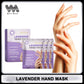 Lavender Hand Mask - Exfoliating & Brightening Treatment for Smooth, Nourished Hands (3 Pairs)