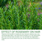 Rosemary Hair Growth Shampoo - Anti-Hair Loss Treatment for Scalp Nourishment & Repair
