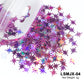 Holographic Nail Art Glitter - 2g Laser Star & Butterfly Sequins Flakes